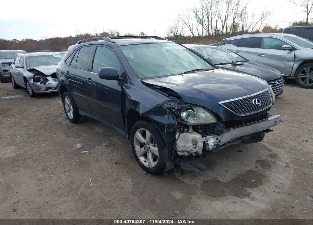 2004 LEXUS RX 330 BASE (A5) VIN: 2T2HA31U64C003995