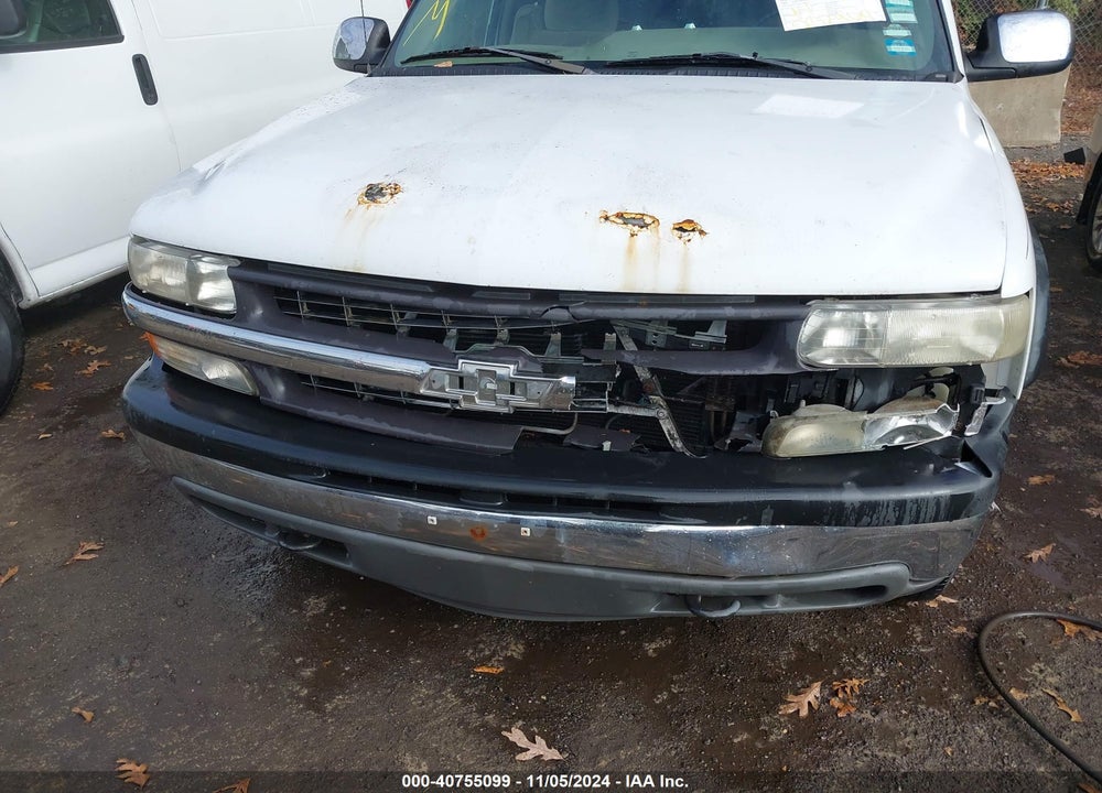 2002 CHEVROLET SILVERADO 1500 LS VIN: 1GCEK19T82E190915