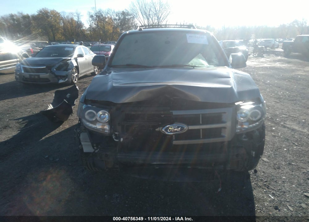 2010 FORD ESCAPE LIMITED VIN: 1FMCU9EG5AKD17303