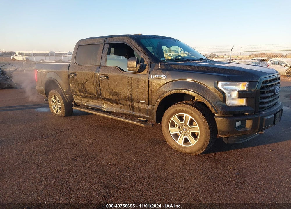 2016 FORD F-150 XLT VIN: 1FTEW1EP7GKG00240