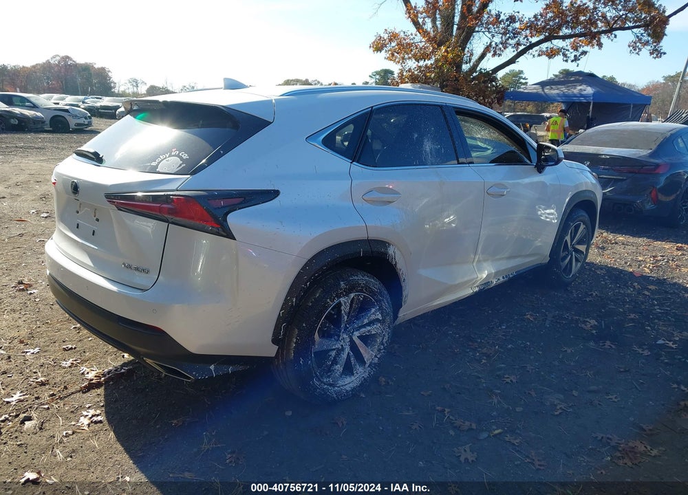 2019 LEXUS NX 300 VIN: JTJBARBZ9K2199821