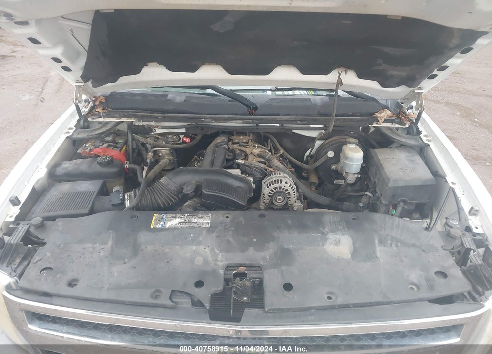 2009 CHEVROLET SILVERADO 1500 WORK TRUCK VIN: 3GCEK13C99G259848