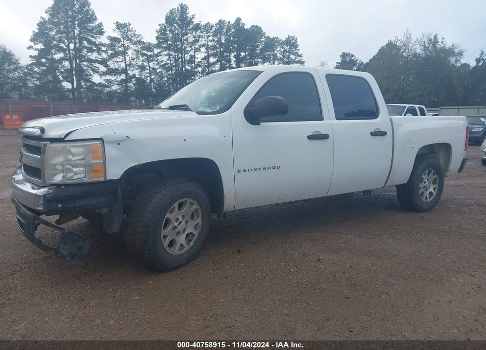2009 CHEVROLET SILVERADO 1500 WORK TRUCK VIN: 3GCEK13C99G259848