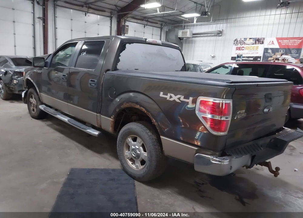 2009 FORD F-150 FX4/KING RANCH/LARIAT/PLATINUM/XL/XLT VIN: 1FTPW14VX9FB01193