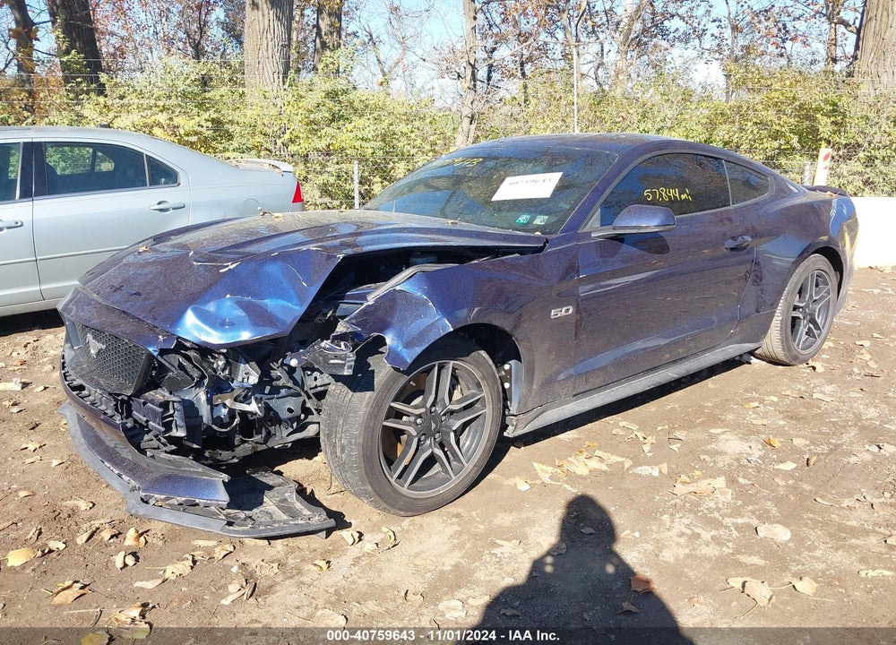 2019 FORD MUSTANG VIN: 1FA6P8CF9K5203680