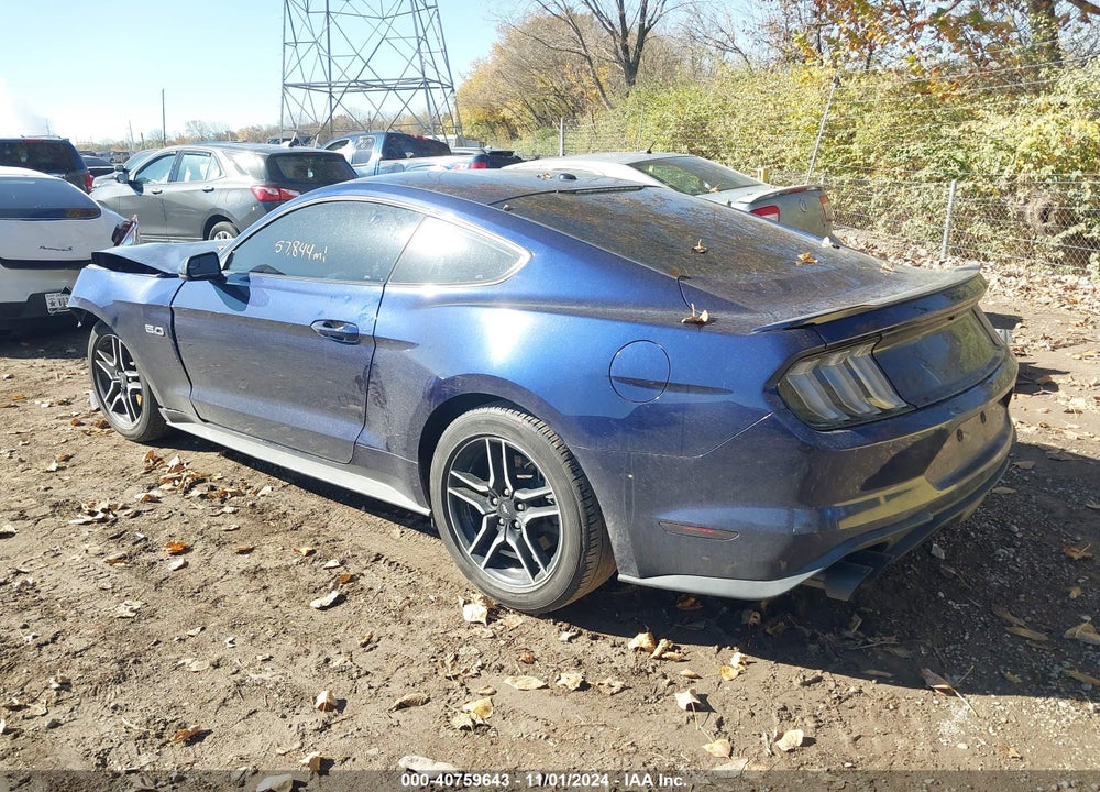 2019 FORD MUSTANG VIN: 1FA6P8CF9K5203680