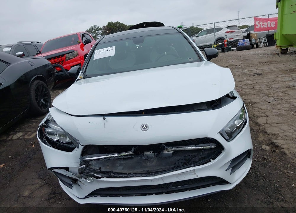 2019 MERCEDES-BENZ A 220 VIN: WDD3G4EB0KW021429