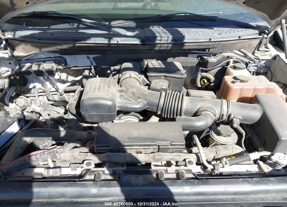 2010 FORD F-150 FX4/LARIAT/XL/XLT VIN: 1FTFX1EV4AKE32970