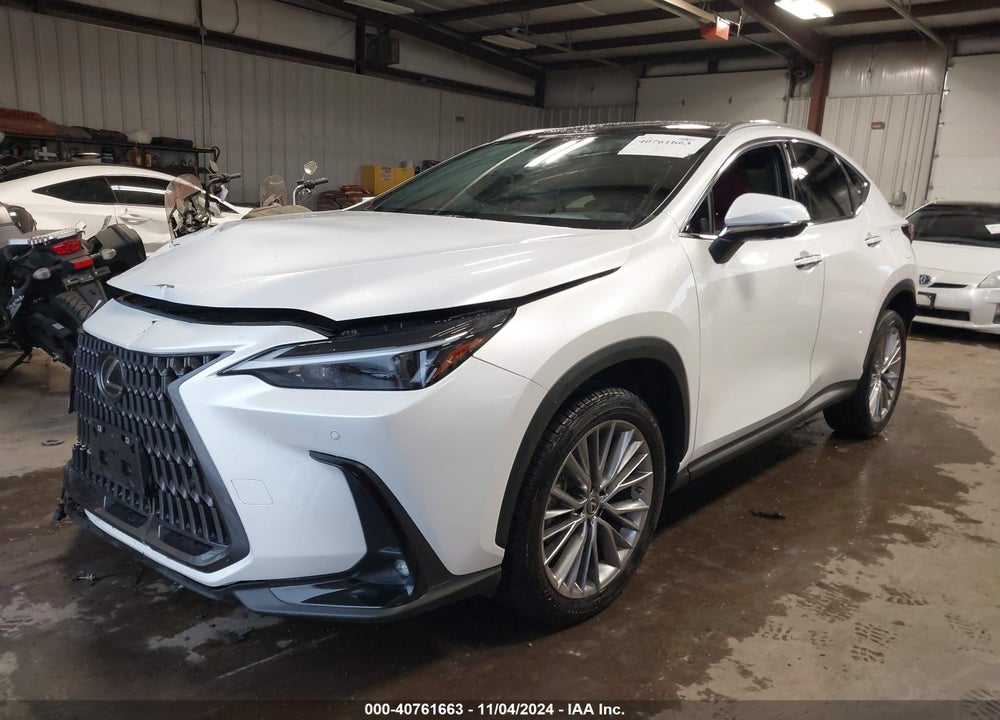 2023 LEXUS NX 350 LUXURY VIN: JTJHGCEZ5P5005499