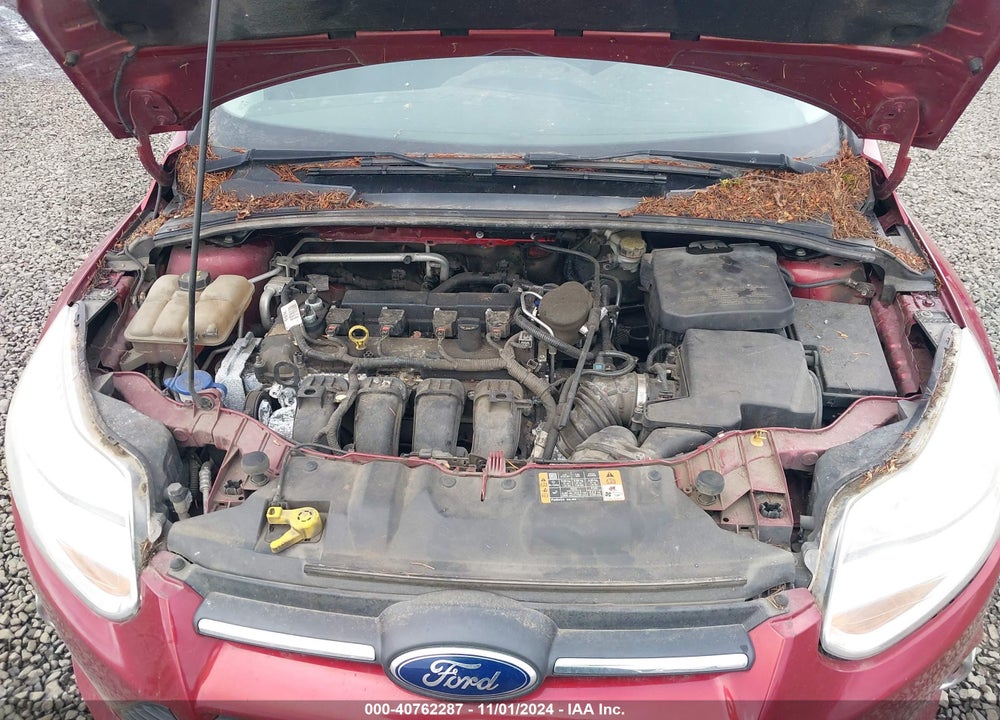 2014 FORD FOCUS SE VIN: 1FADP3K23EL454574
