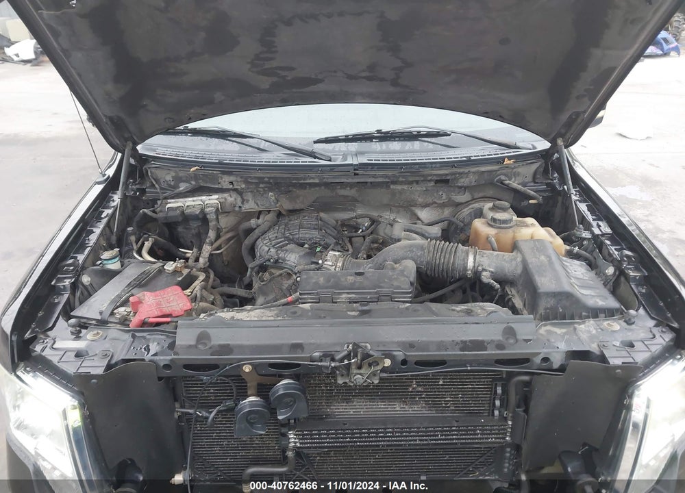 2011 FORD F-150 VIN: 1FTEW1CM3BFB22909