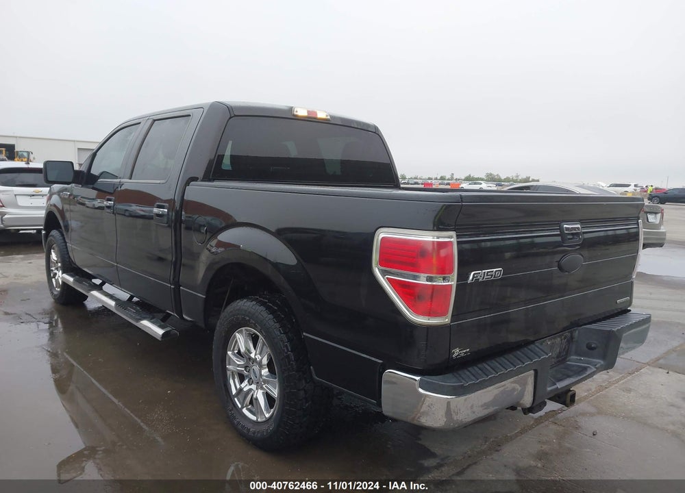 2011 FORD F-150 VIN: 1FTEW1CM3BFB22909