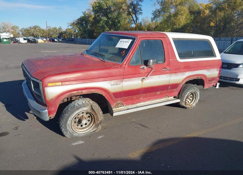 1984 FORD BRONCO U100 VIN: 1FMEU15F9ELA18530
