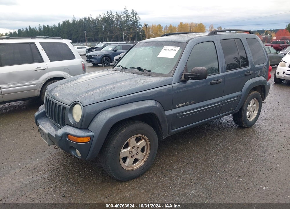 2002 JEEP LIBERTY LIMITED EDITION VIN: 1J4GL58K92W316404