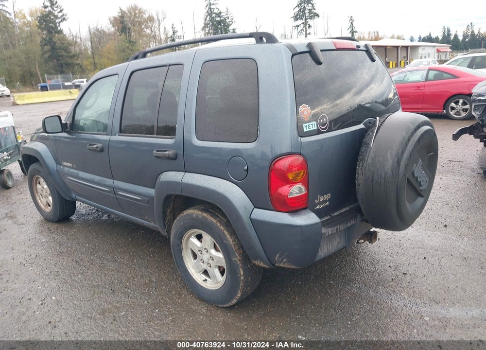 2002 JEEP LIBERTY LIMITED EDITION VIN: 1J4GL58K92W316404