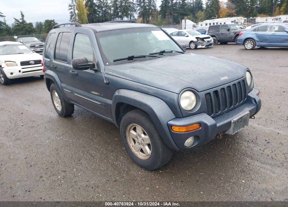 2002 JEEP LIBERTY LIMITED EDITION VIN: 1J4GL58K92W316404