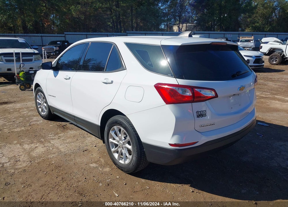 2019 CHEVROLET EQUINOX LS VIN: 3GNAXHEV2KL199598