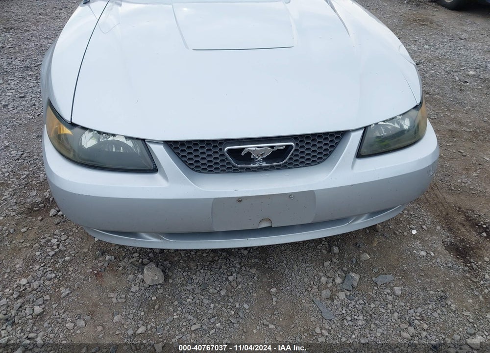 2004 FORD MUSTANG DELUXE VIN: 1FAFP44654F192410