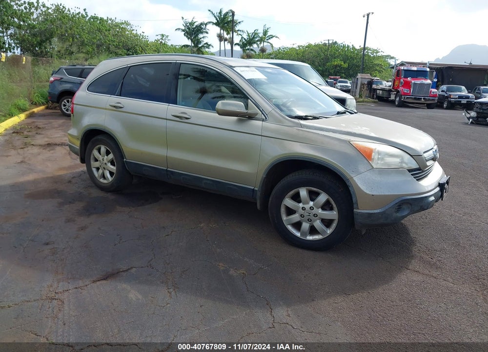 2007 HONDA CR-V EX-L VIN: JHLRE38747C037155