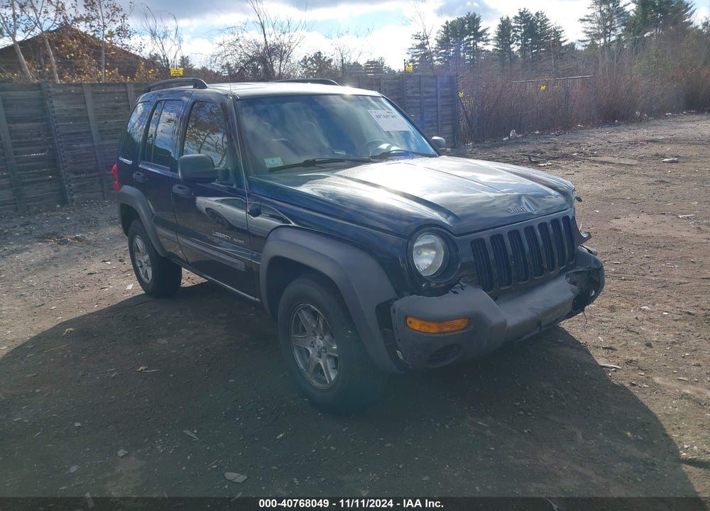 2003 JEEP LIBERTY SPORT VIN: 1J4GL48K93W605035