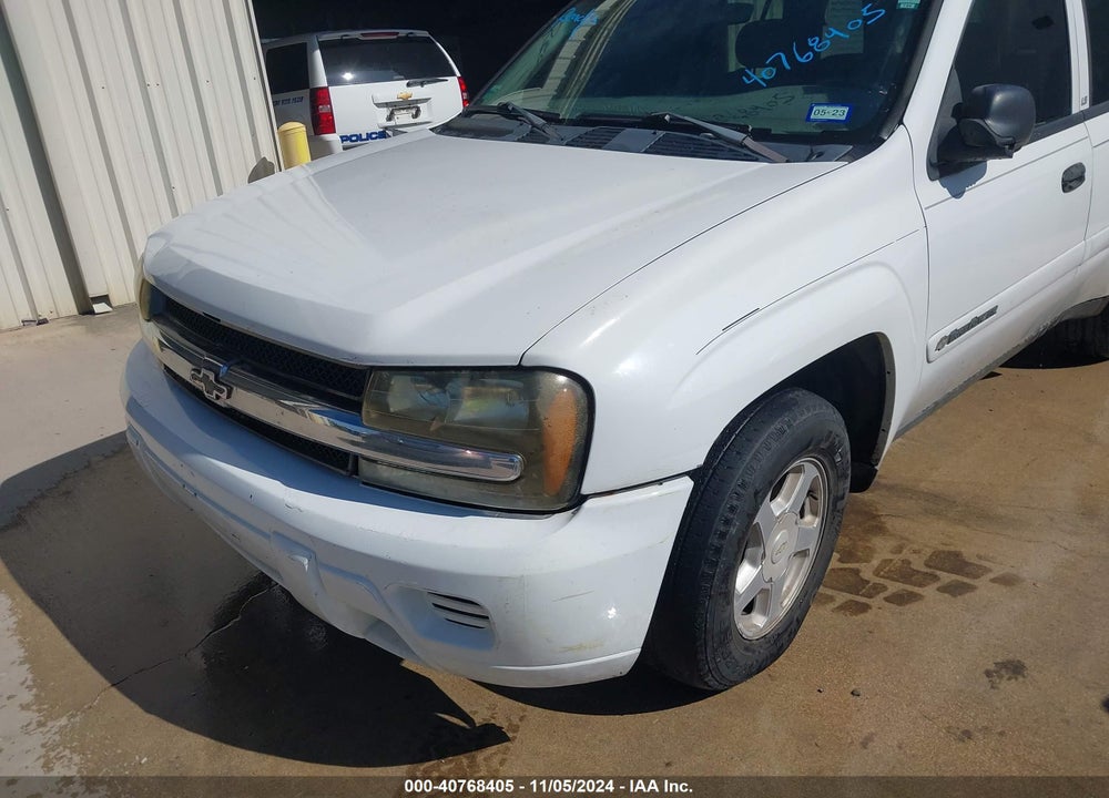 2002 CHEVROLET TRAILBLAZER LS VIN: 1GNDS13S022527145
