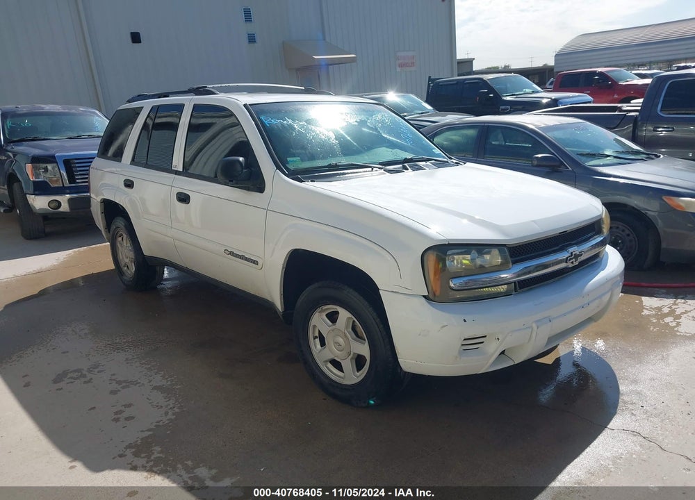 2002 CHEVROLET TRAILBLAZER LS VIN: 1GNDS13S022527145