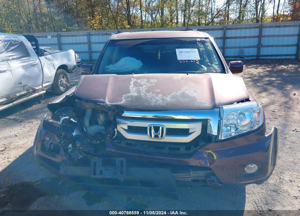 2010 HONDA PILOT EX-L VIN: 5FNYF4H51AB034699