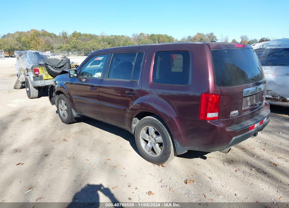 2010 HONDA PILOT EX-L VIN: 5FNYF4H51AB034699