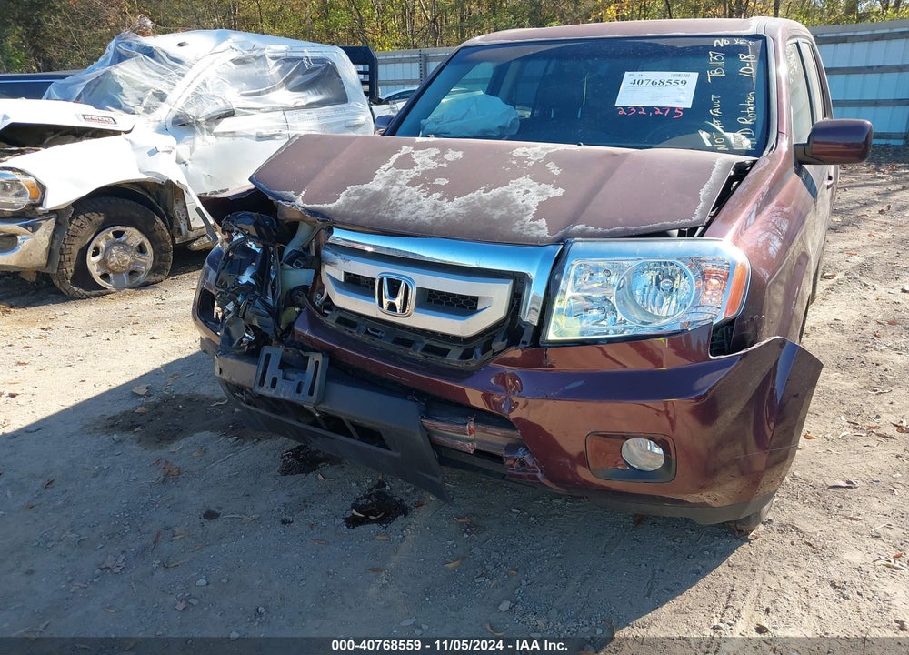 2010 HONDA PILOT EX-L VIN: 5FNYF4H51AB034699