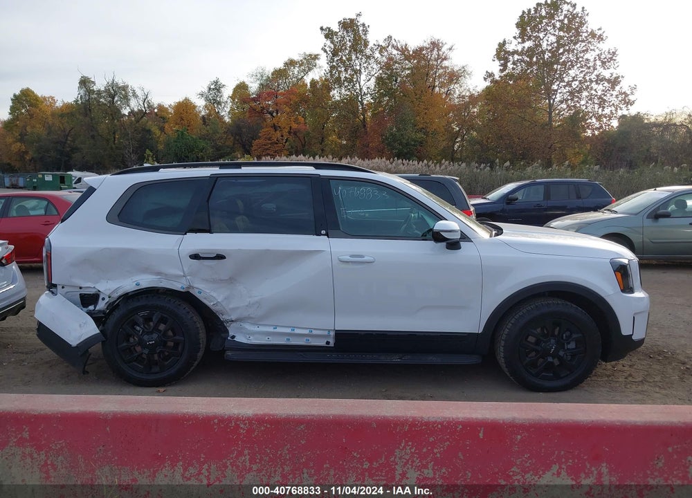 2024 KIA TELLURIDE SX PRESTIGE X-PRO VIN: 5XYP5DGC0RG540107