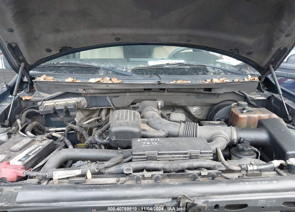 2009 FORD F-150 VIN: 1FTPX14V99FA81063