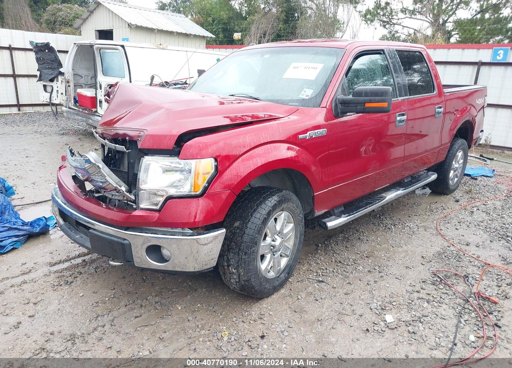 2013 FORD F-150 XLT VIN: 1FTFW1EF7DKF18662