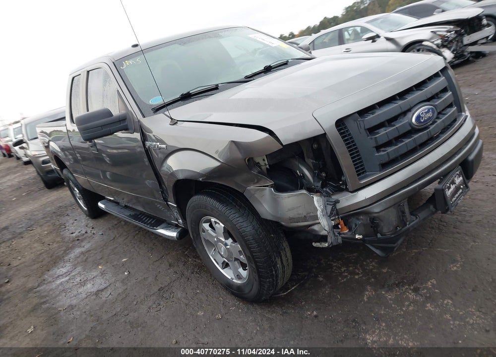 2010 FORD F-150 STX/XL VIN: 1FTEX1CWXAFA86455