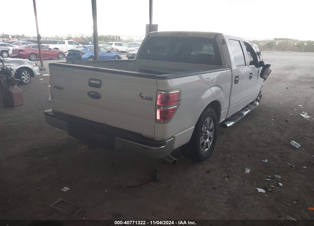 2009 FORD F-150 XL/XLT VIN: 1FTRW12889FA59113