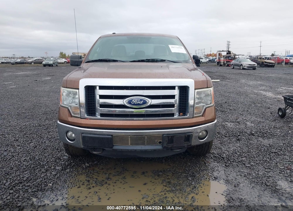 2011 FORD F-150 XLT VIN: 1FTFX1ET0BFC98161