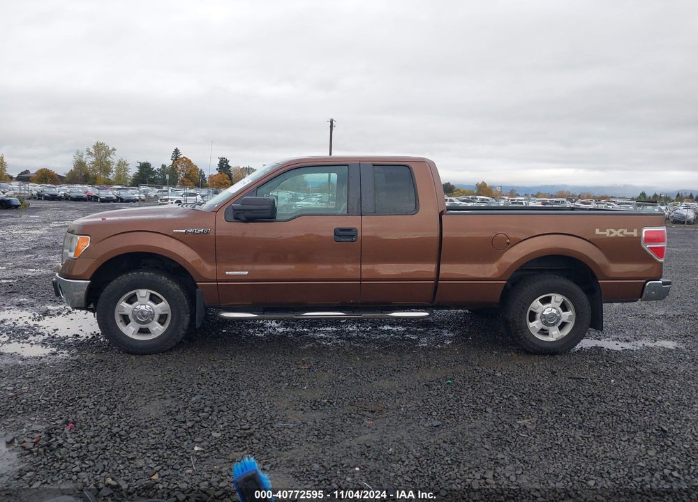 2011 FORD F-150 XLT VIN: 1FTFX1ET0BFC98161