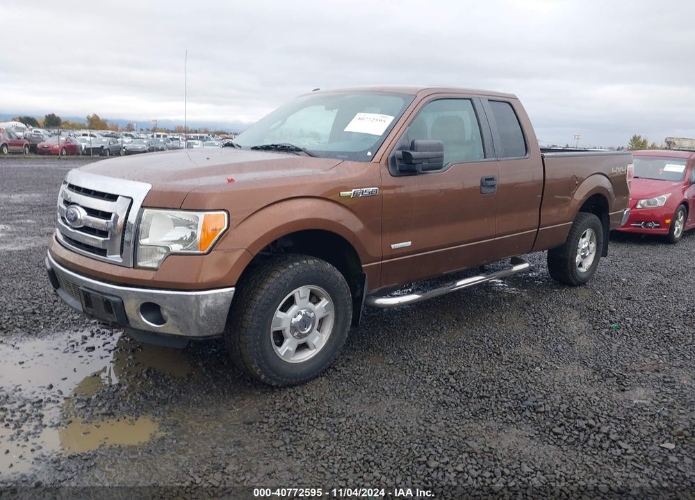 2011 FORD F-150 XLT VIN: 1FTFX1ET0BFC98161