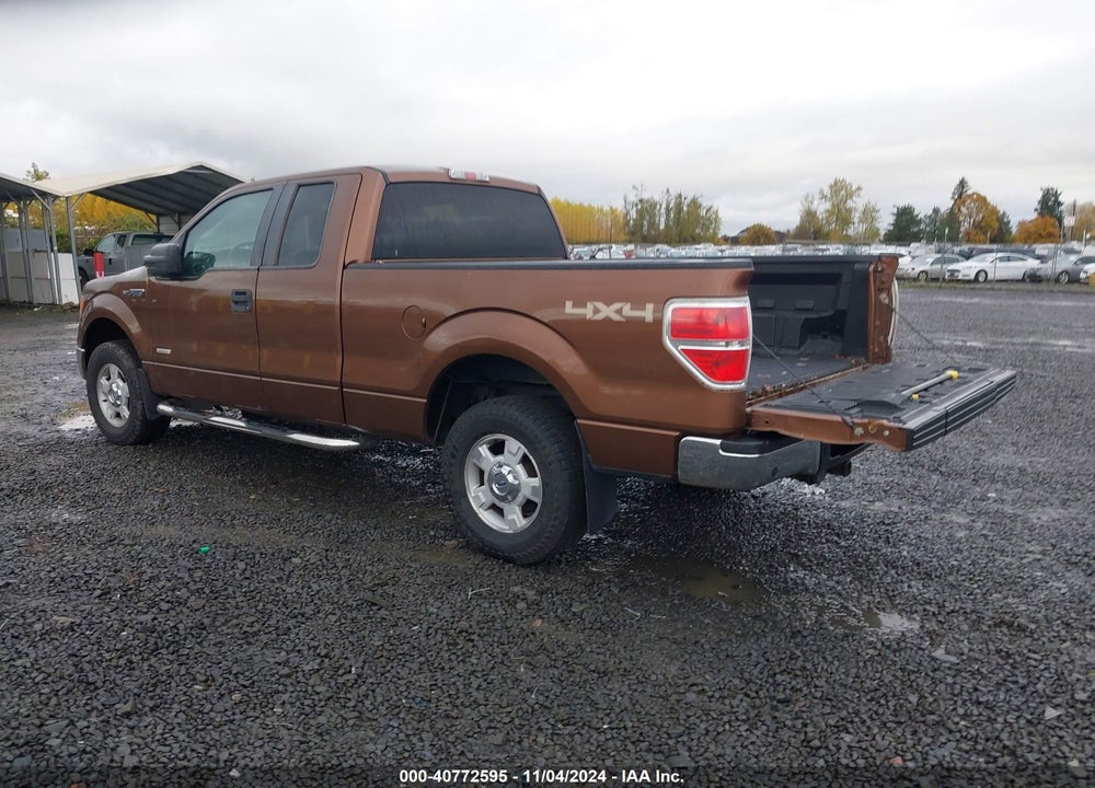 2011 FORD F-150 XLT VIN: 1FTFX1ET0BFC98161