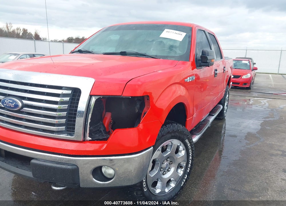 2011 FORD F-150 XLT VIN: 1FTFW1EF1BKD26036