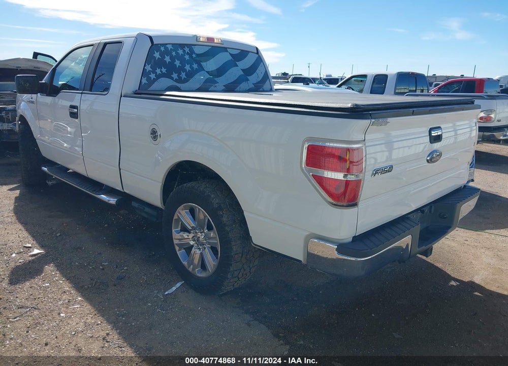 2010 FORD F-150 VIN: 1FTEX1C85AFA61934
