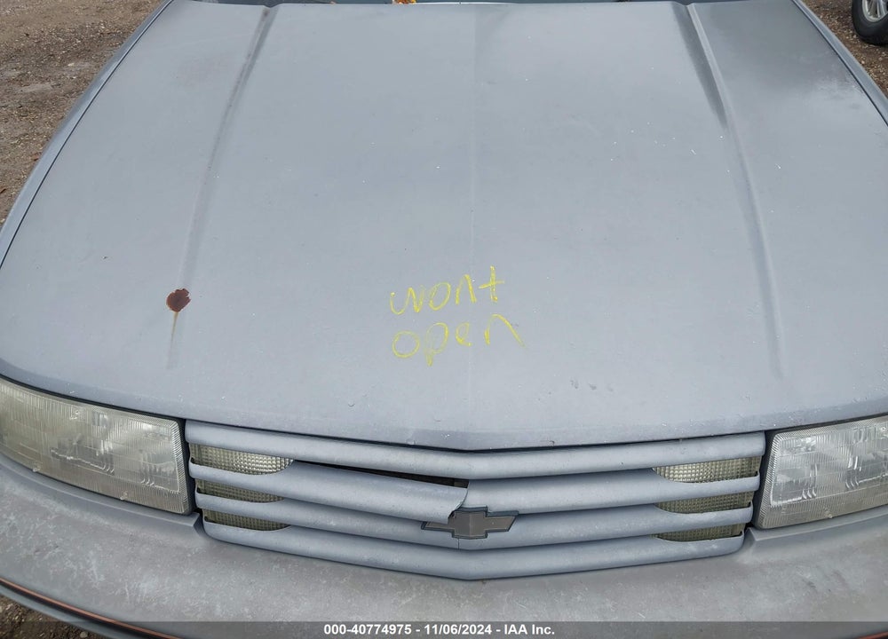 1991 CHEVROLET LUMINA EURO VIN: 2G1WN14T0M9203562