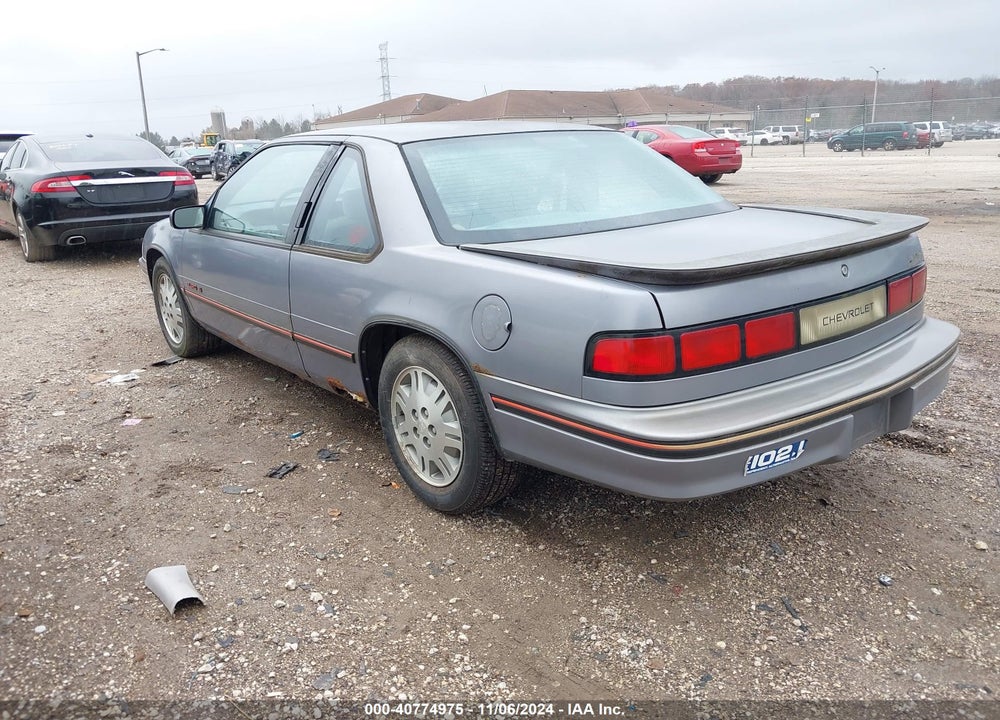 1991 CHEVROLET LUMINA EURO VIN: 2G1WN14T0M9203562