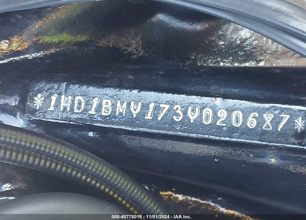 2003 HARLEY-DAVIDSON FLSTF VIN: 1HD1BMY173Y020687