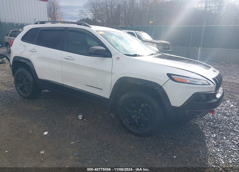 2016 JEEP CHEROKEE TRAILHAWK VIN: 1C4PJMBB5GW146113