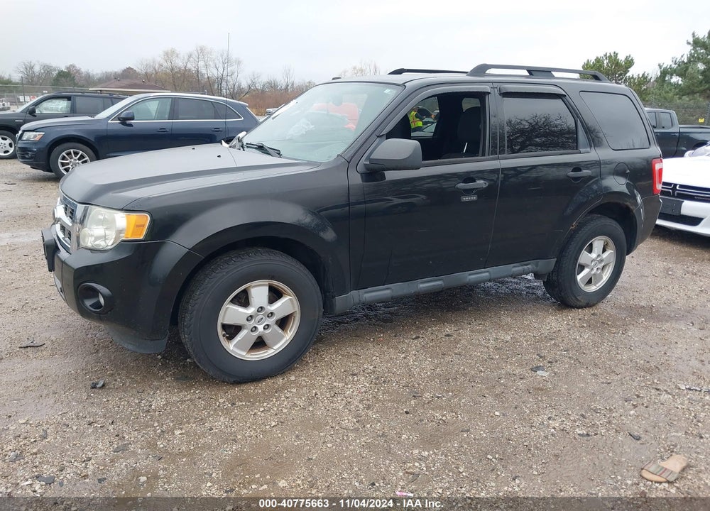 2010 FORD ESCAPE XLT VIN: 1FMCU0DG8AKA03447