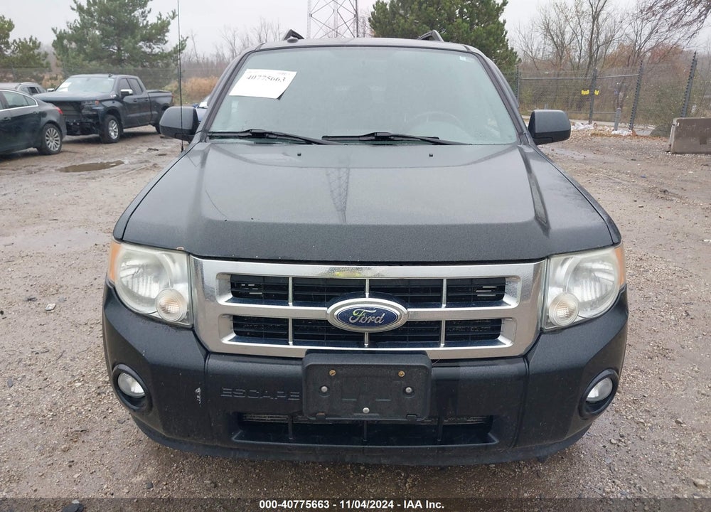 2010 FORD ESCAPE XLT VIN: 1FMCU0DG8AKA03447