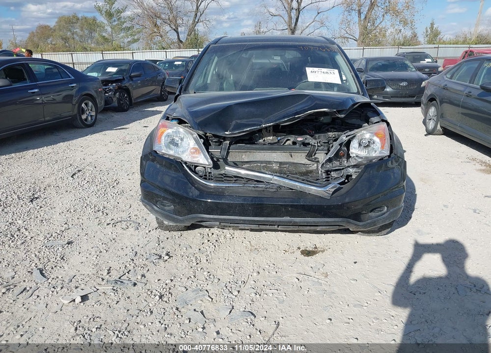 2010 HONDA CR-V EX-L VIN: JHLRE4H77AC007807