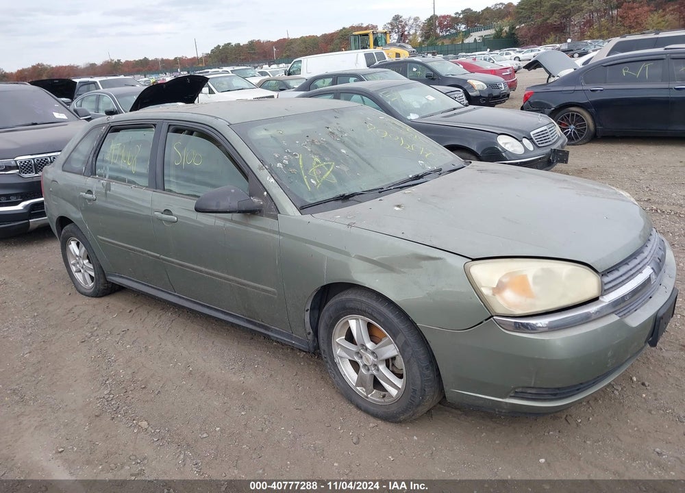 2004 CHEVROLET MALIBU MAXX LS VIN: 1G1ZT62874F234863
