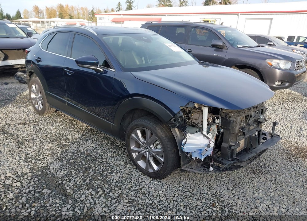 2021 MAZDA CX-30 PREMIUM VIN: 3MVDMBDL7MM316129