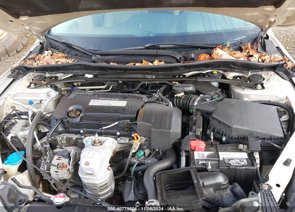 2013 HONDA ACCORD EX-L VIN: 1HGCR2F8XDA124547